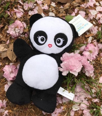 Love Panda celebrating Hanami in Japan 